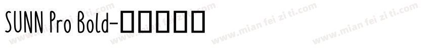 SUNN Pro Bold字体转换